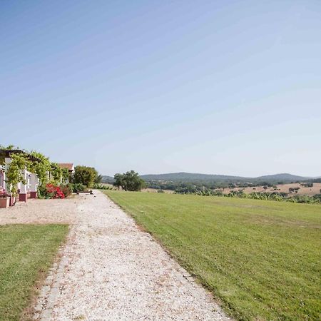 Вілла Stunning Mansion In Sao Cristovao Монтемор-у-Нову Екстер'єр фото