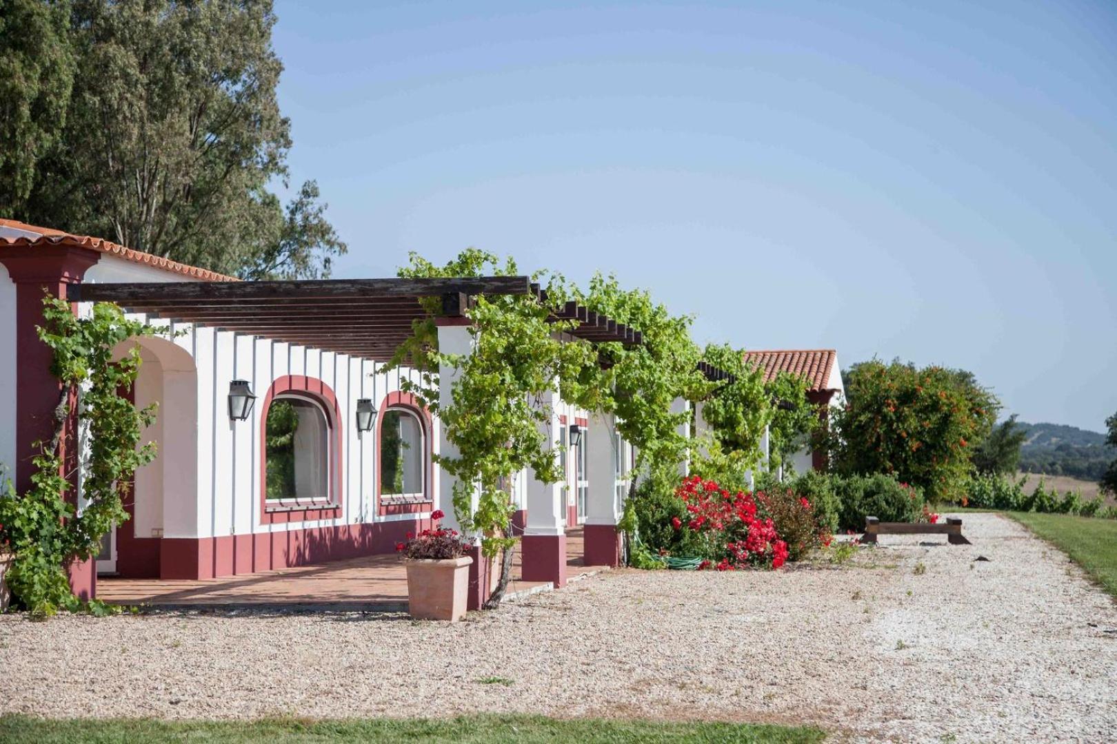 Вілла Stunning Mansion In Sao Cristovao Монтемор-у-Нову Екстер'єр фото